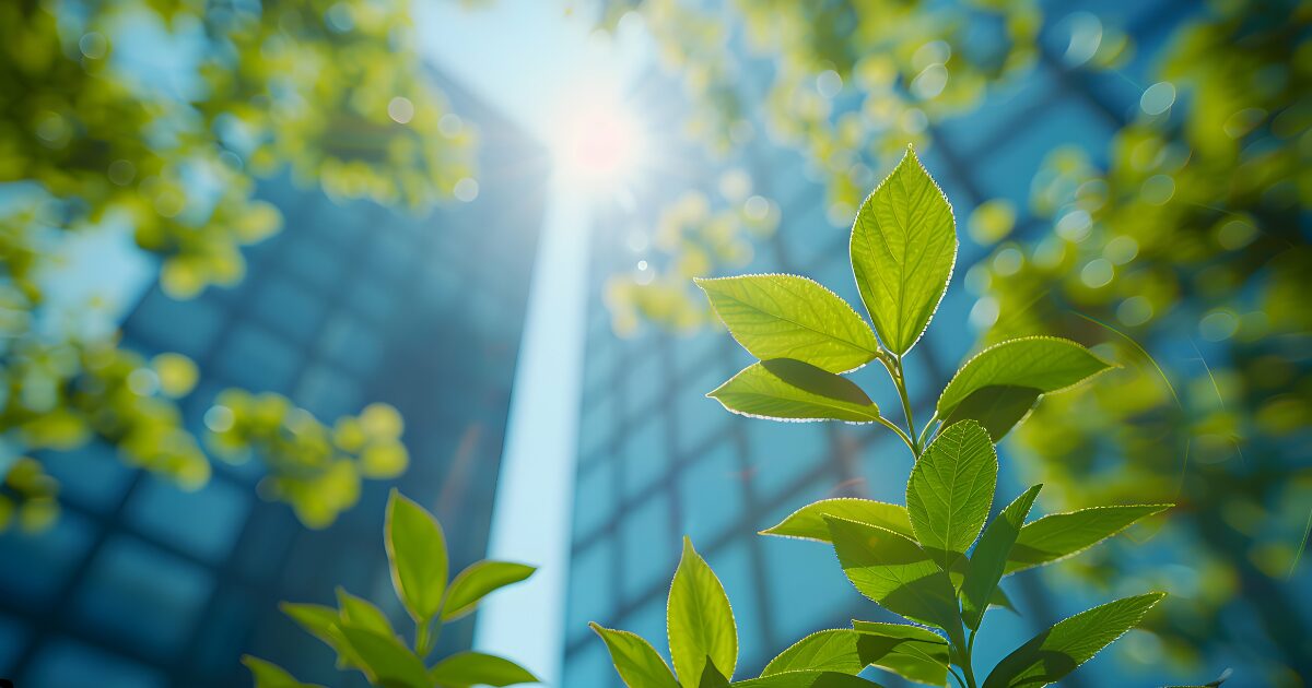 Imagem mostrando uma planta verde com folhas iluminadas pela luz solar, em primeiro plano, destacando o conceito de sustentabilidade ou meio ambiente. Ao fundo, em desfoque, aparecem prédios altos com fachadas de vidro refletindo a luz do sol, sugerindo a ideia de integração entre a natureza e a arquitetura urbana moderna (negócios, impacto ambiental, projetos)