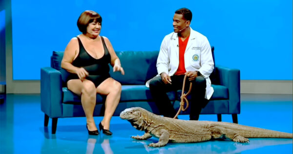A personagem Marisa Maiô, criada por inteligência artificial, satiriza os programas de auditório limites