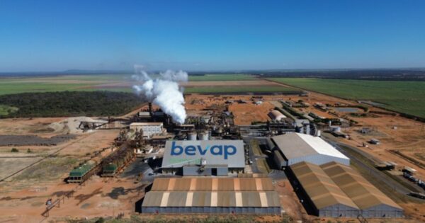 conectividade bevap vivo